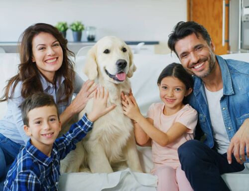 Why Professional Cleaning is Essential for Busy Prince William County Families